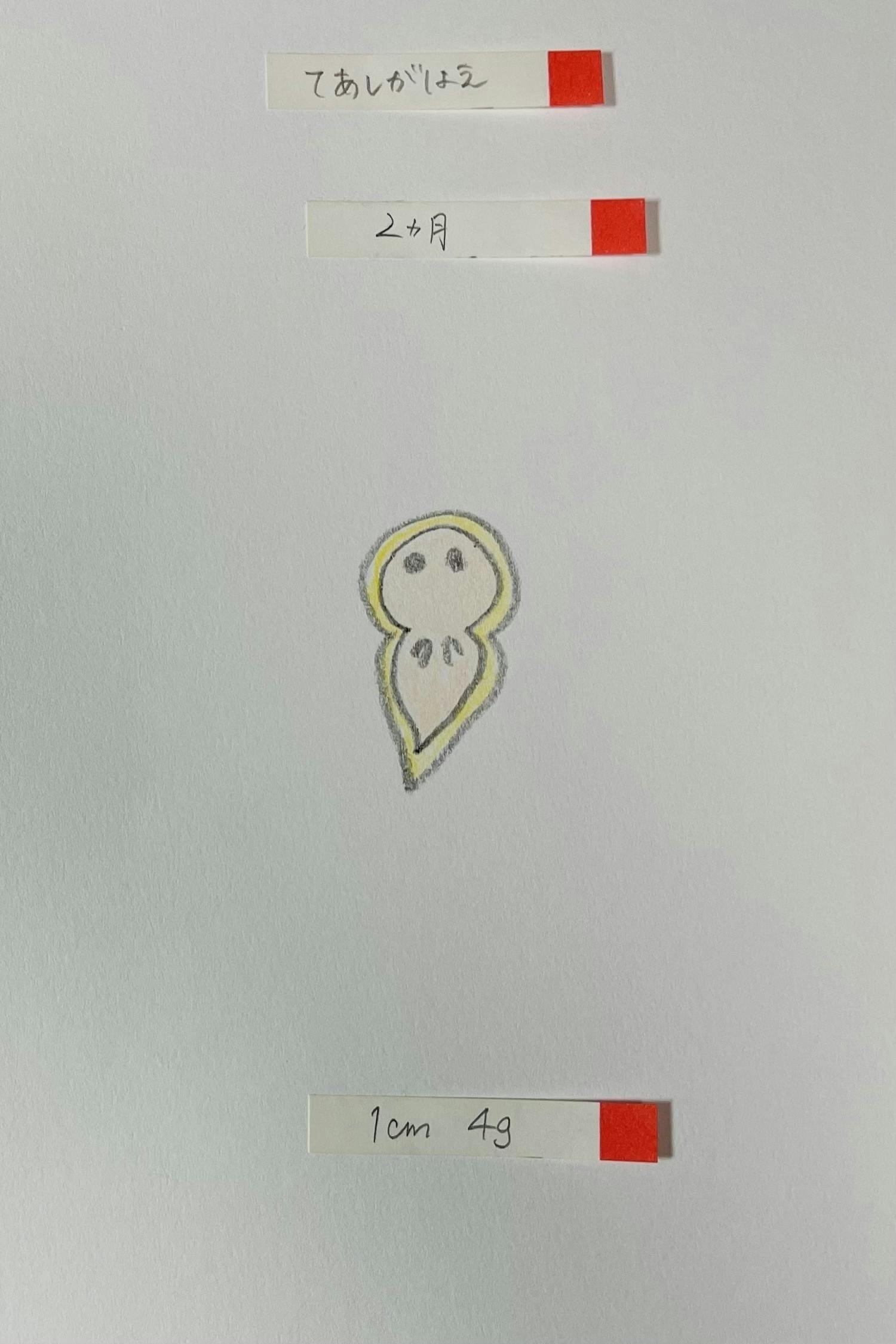 5番目のメイン画像