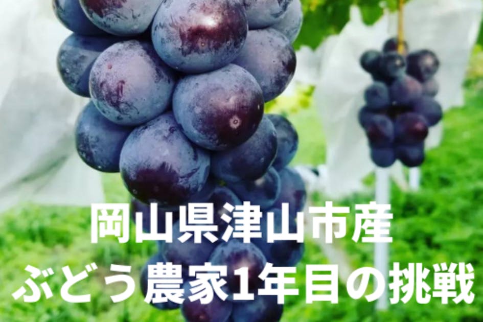 桃農家、葡萄農家 299aa770-72dc-4301-b732-