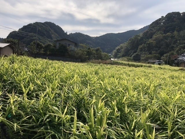 4番目のメイン画像