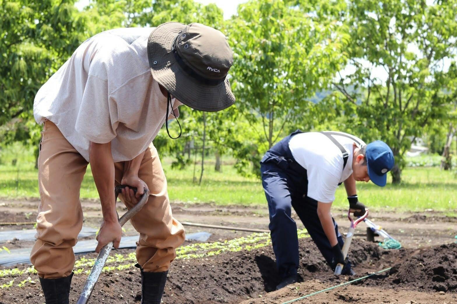 4番目のメイン画像