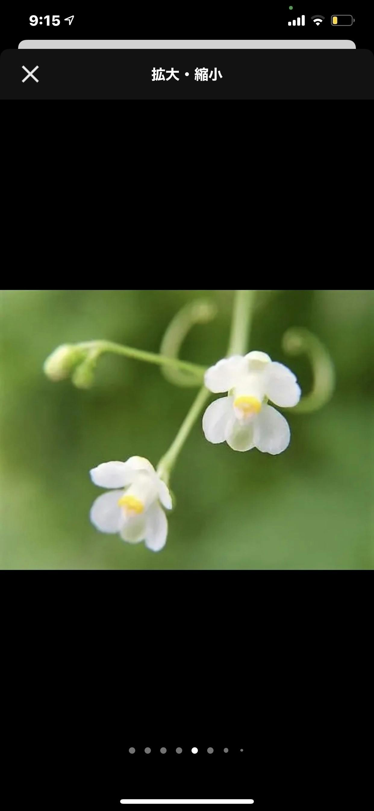 4番目のメイン画像