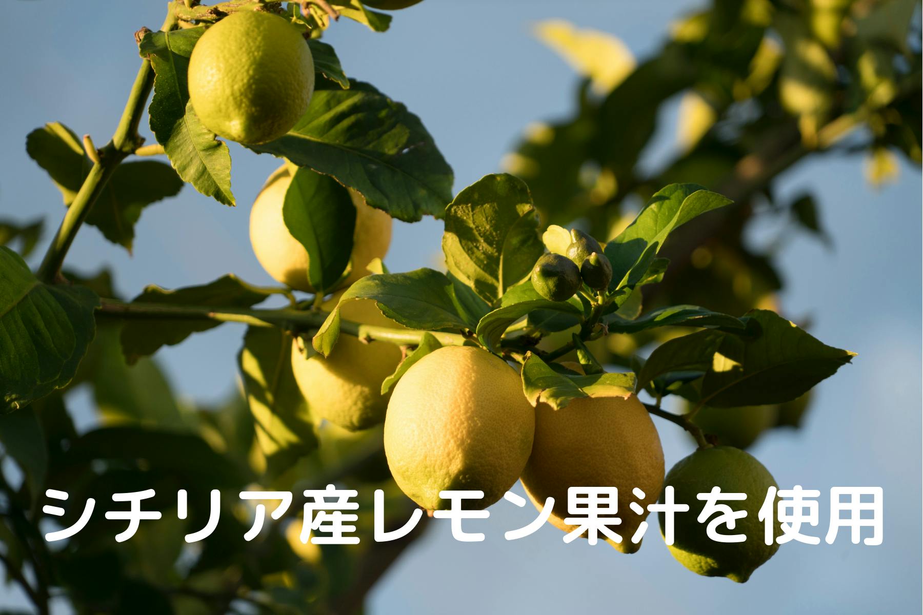 5番目のメイン画像