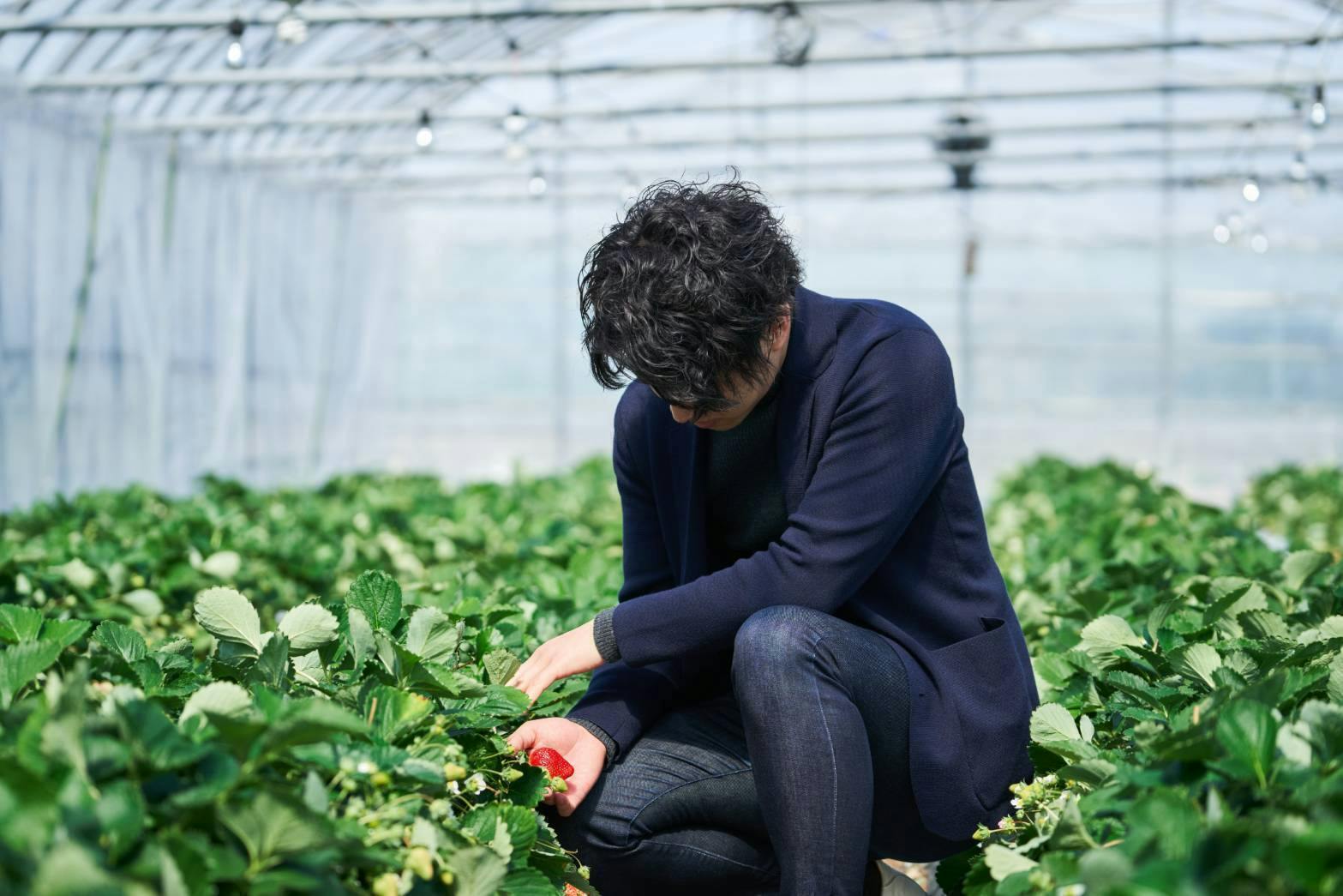 2番目のメイン画像