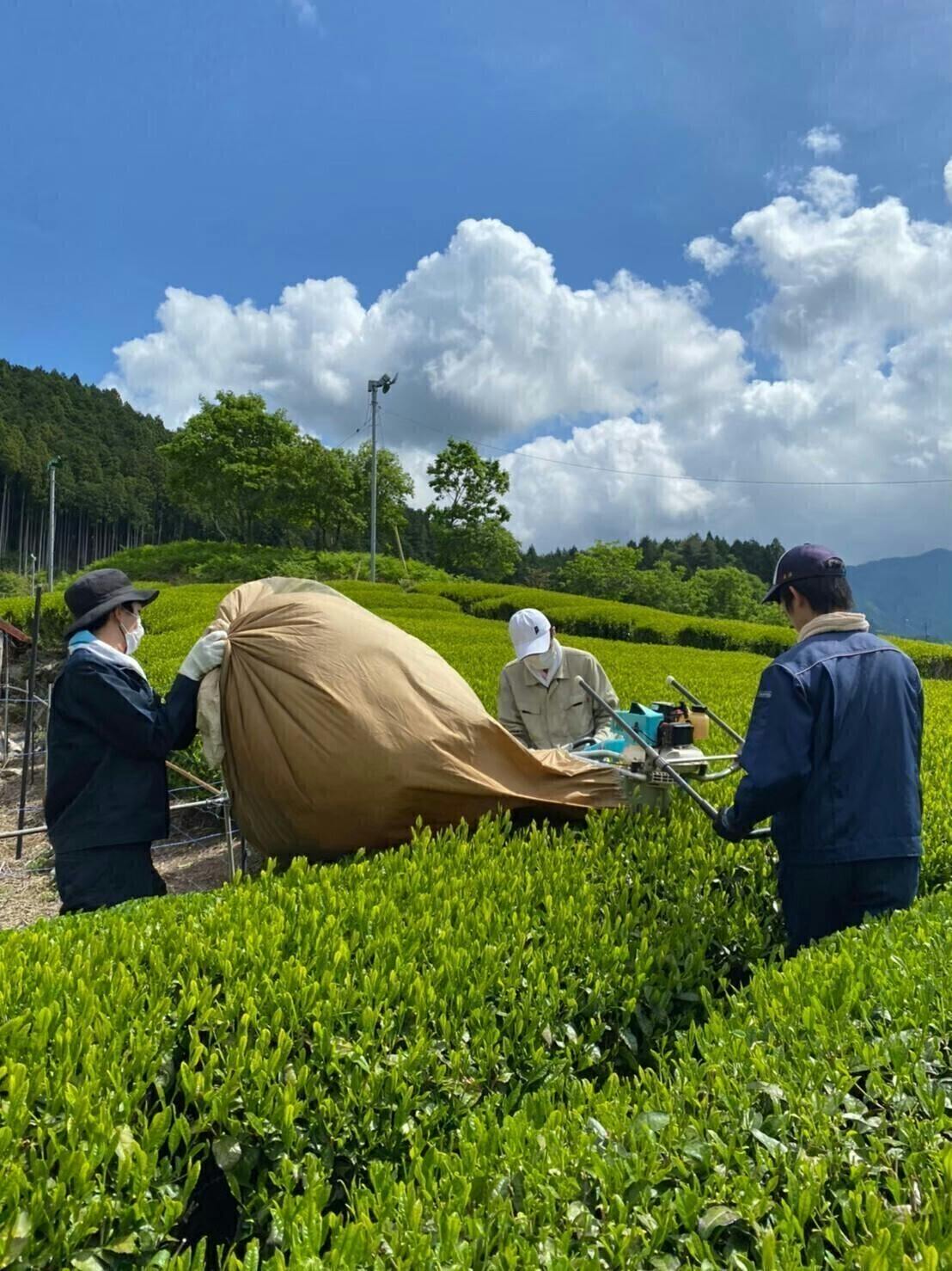 4番目のメイン画像