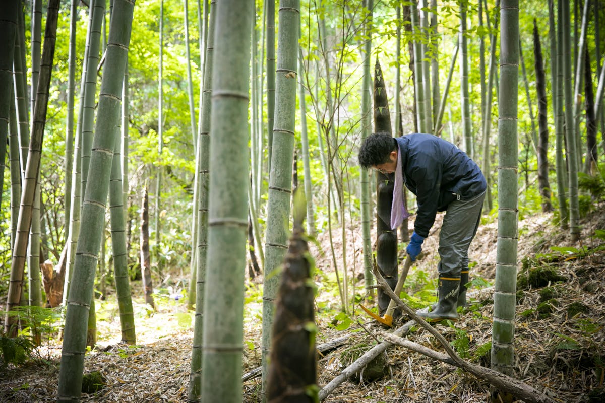 5番目のメイン画像