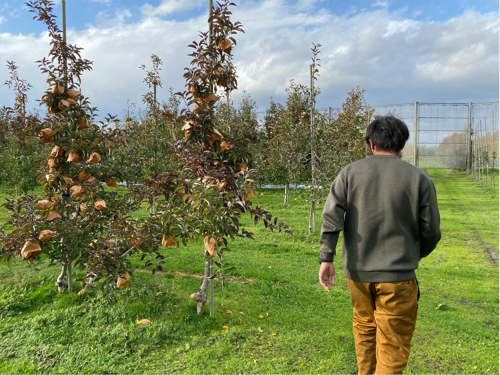 4番目のメイン画像