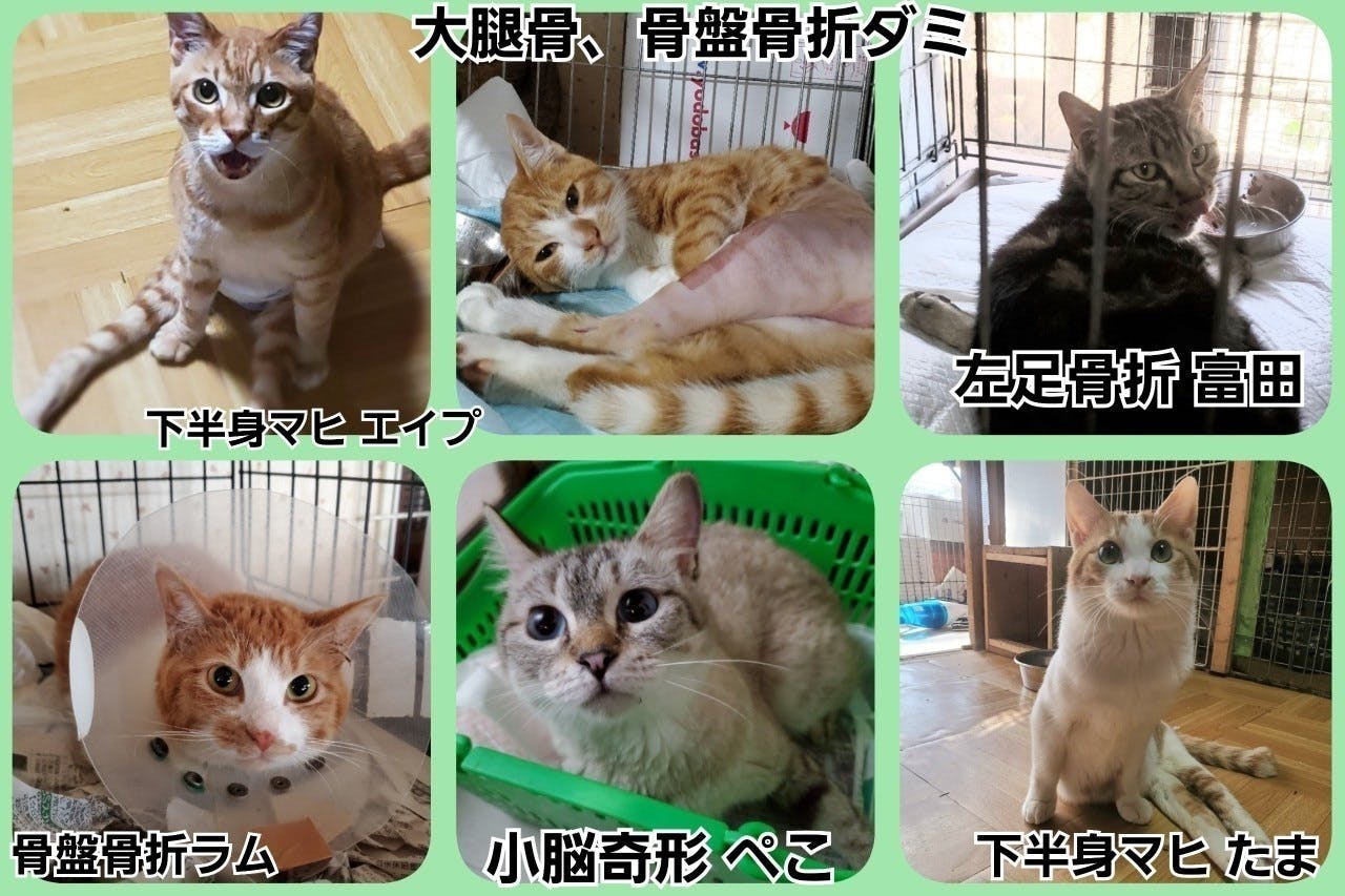 5番目のメイン画像