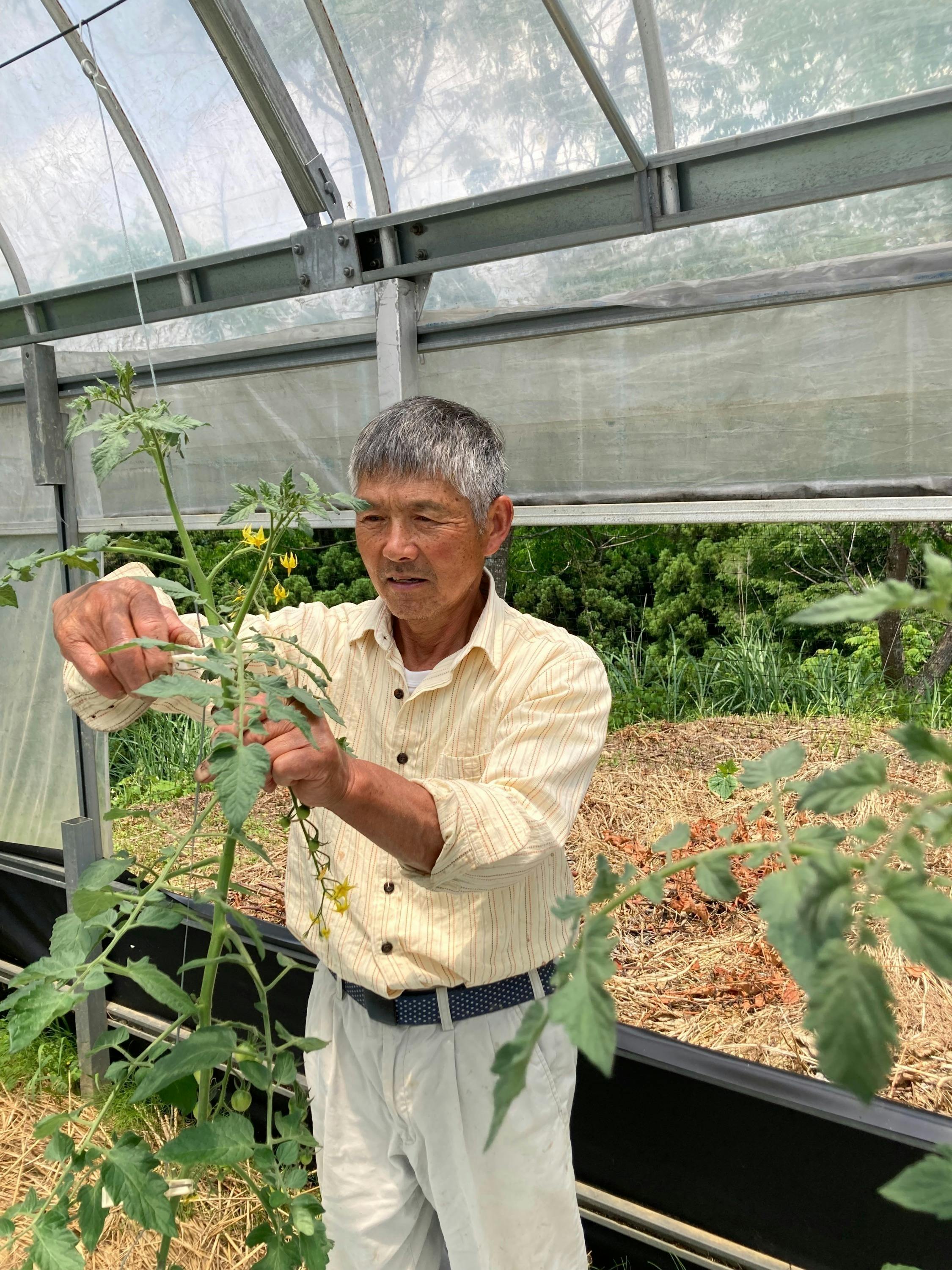 3番目のメイン画像