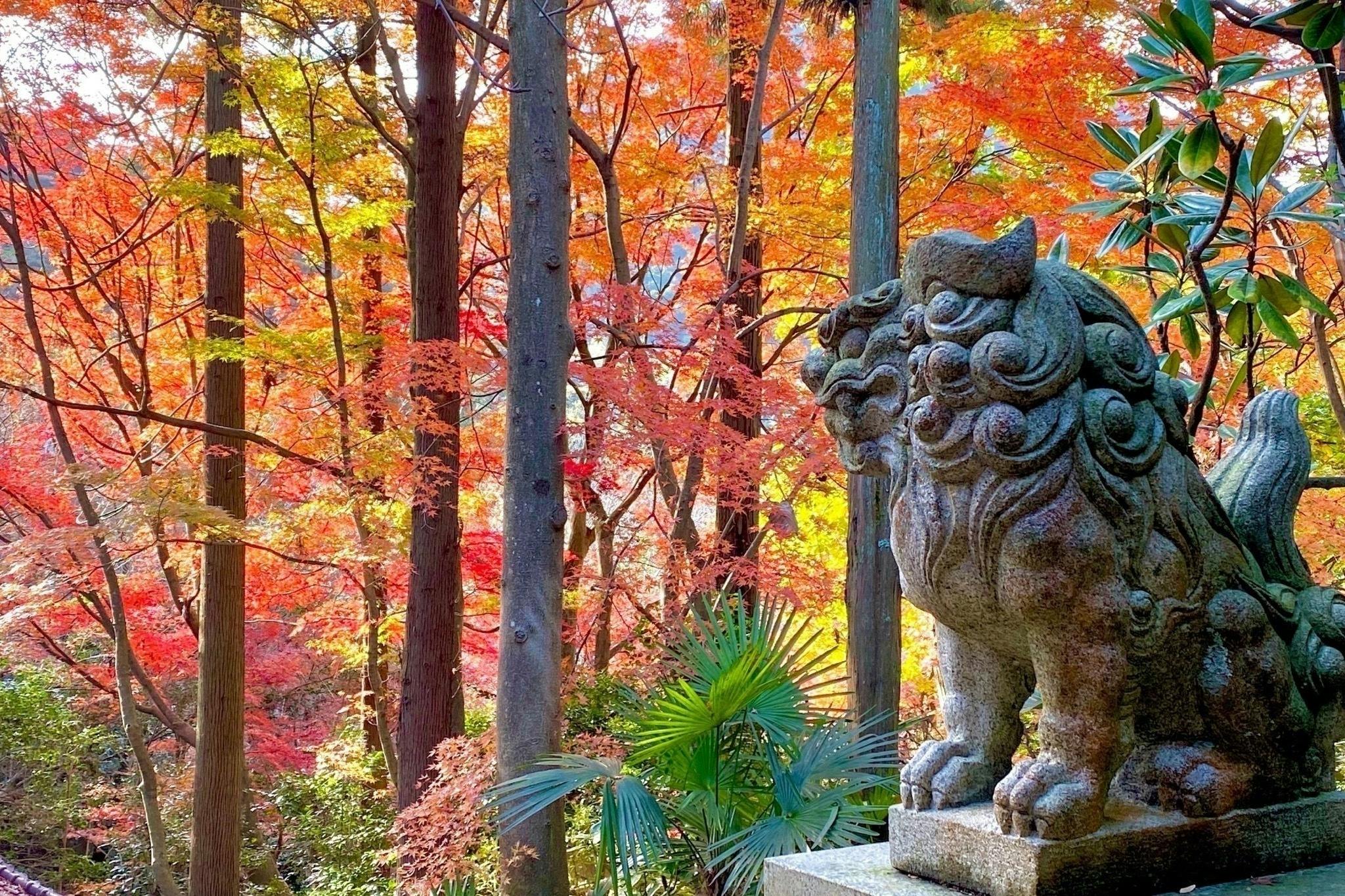 4番目のメイン画像