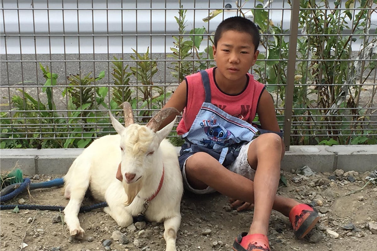 3番目のメイン画像