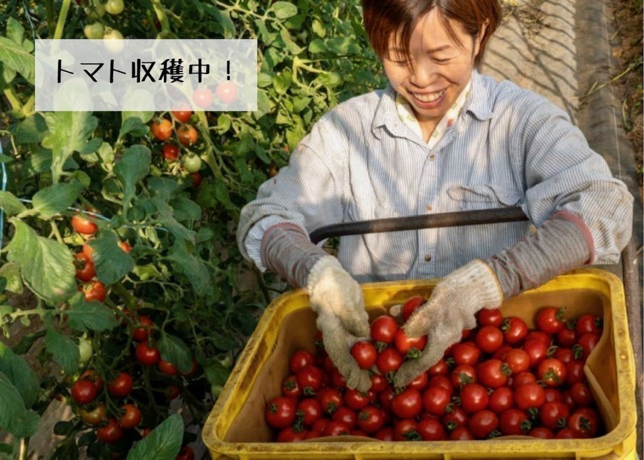 5番目のメイン画像