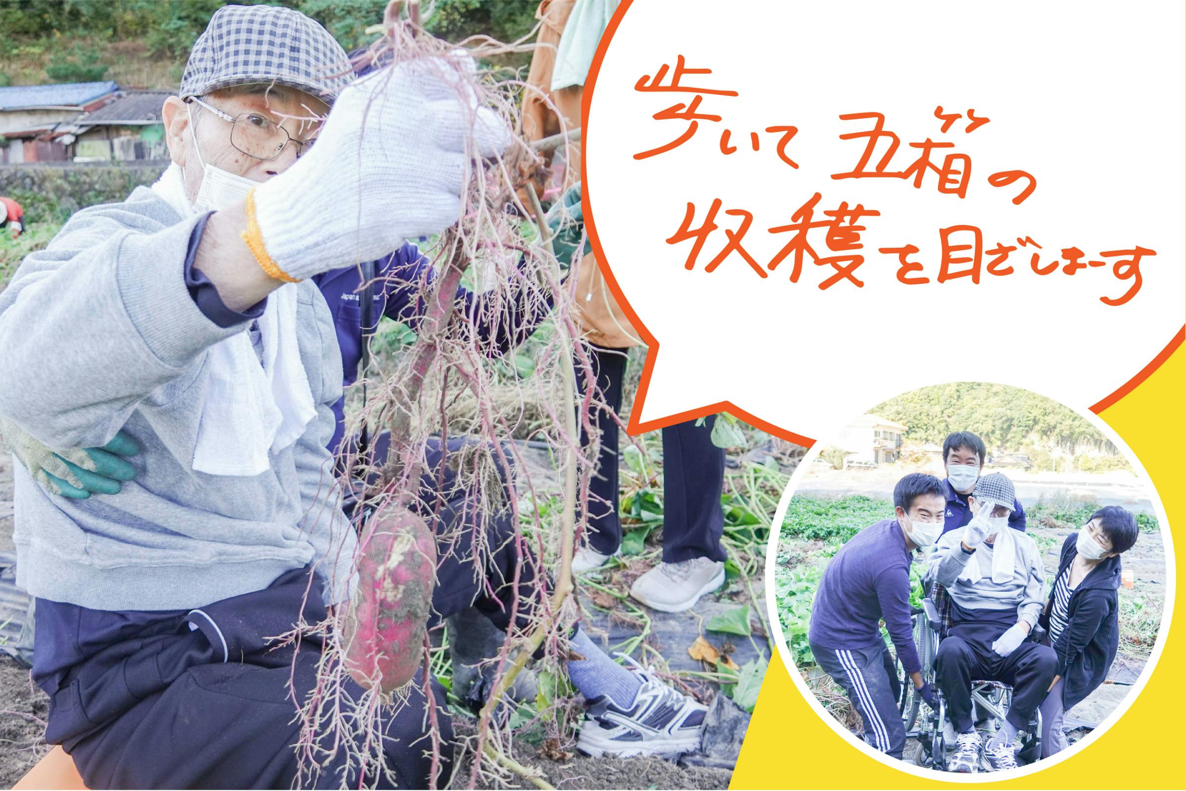 4番目のメイン画像