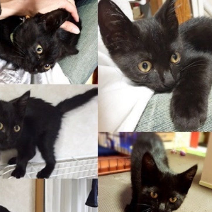 2番目のメイン画像