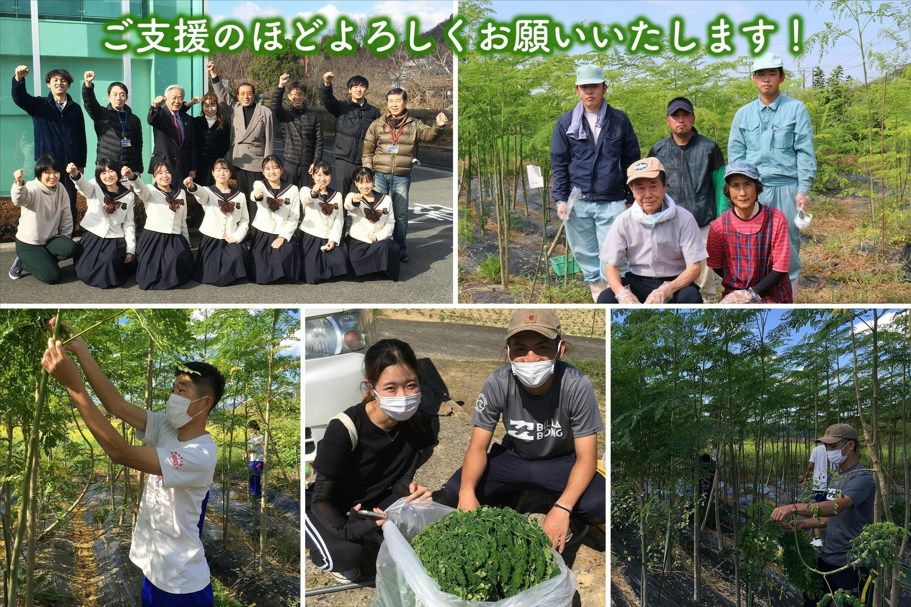 5番目のメイン画像