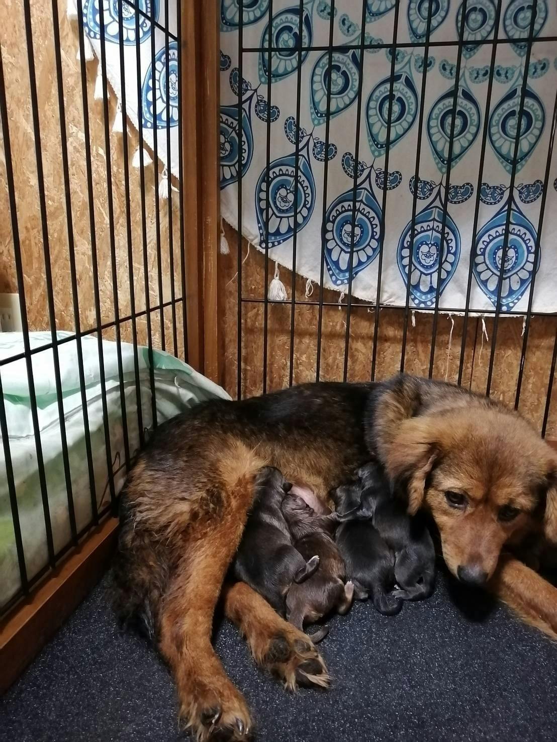 5番目のメイン画像