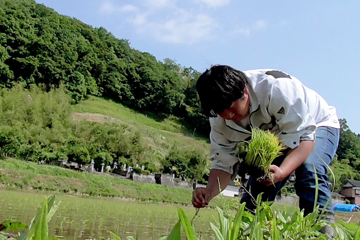 2番目のメイン画像