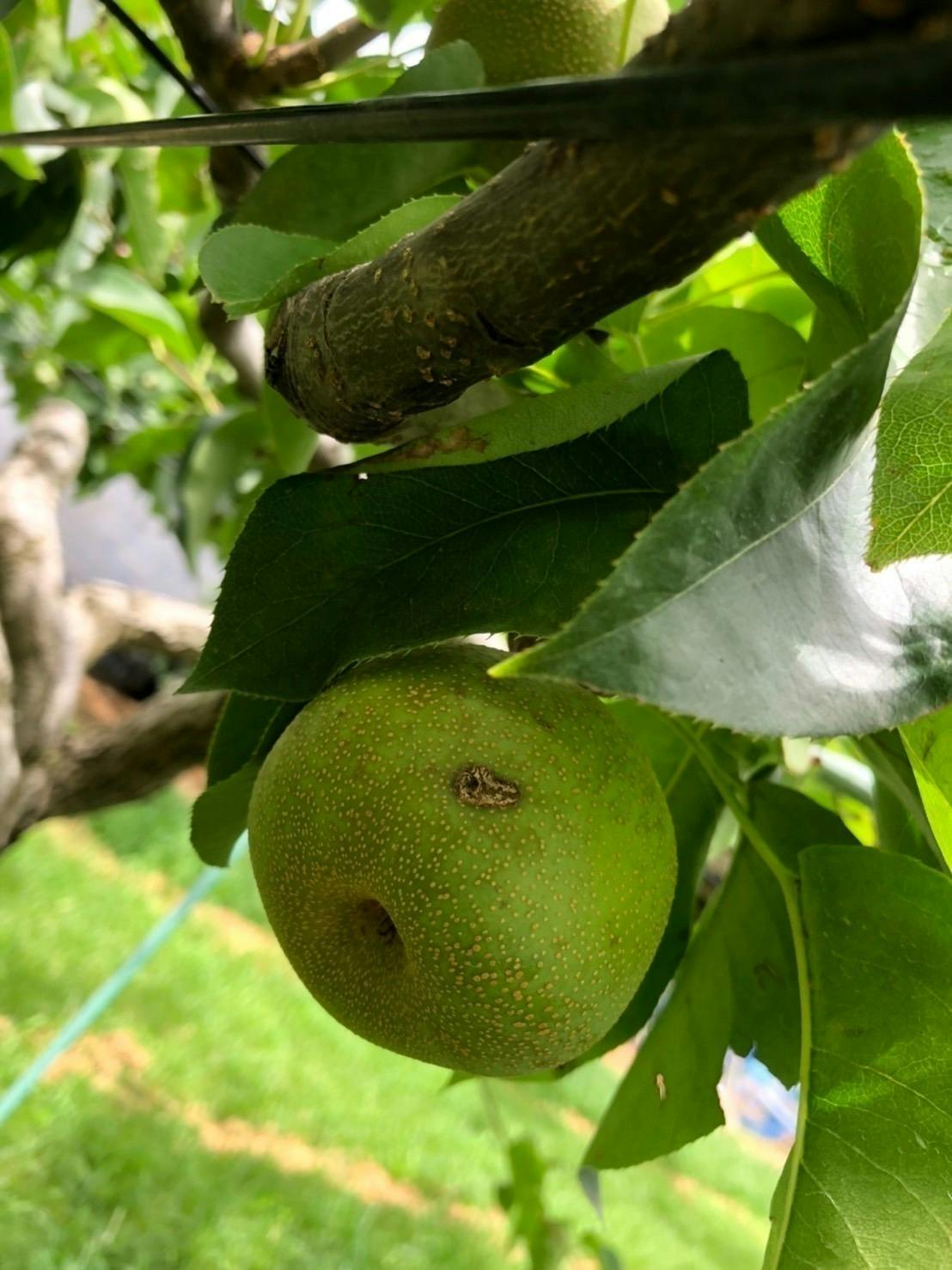 2番目のメイン画像