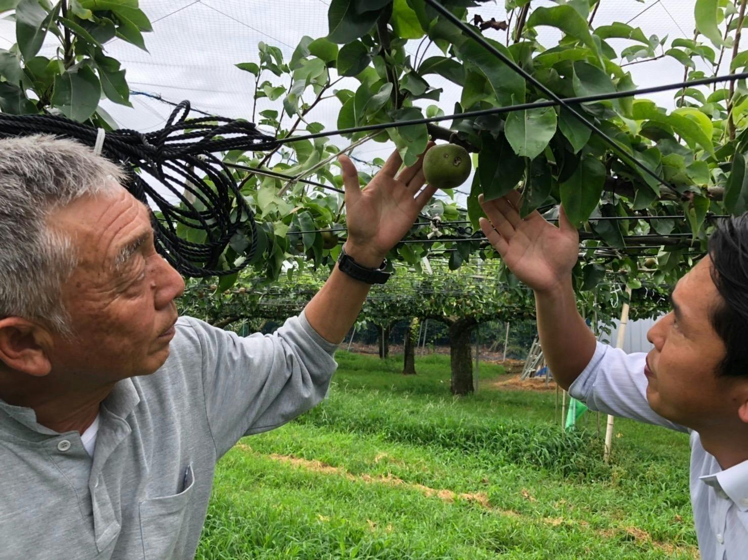 4番目のメイン画像