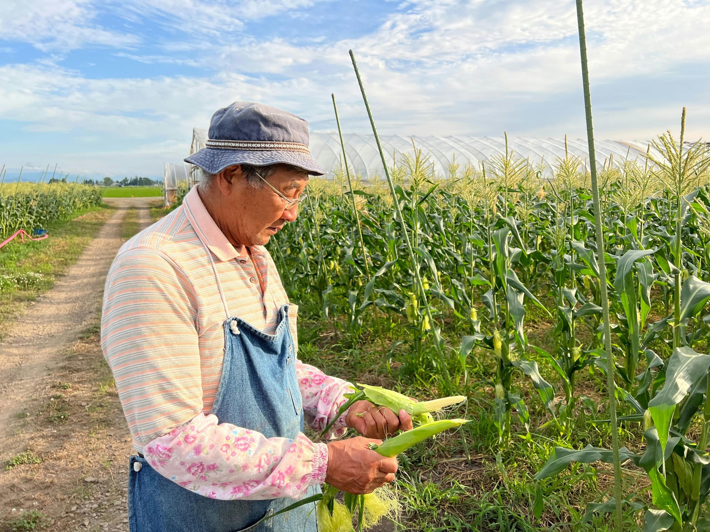 3番目のメイン画像