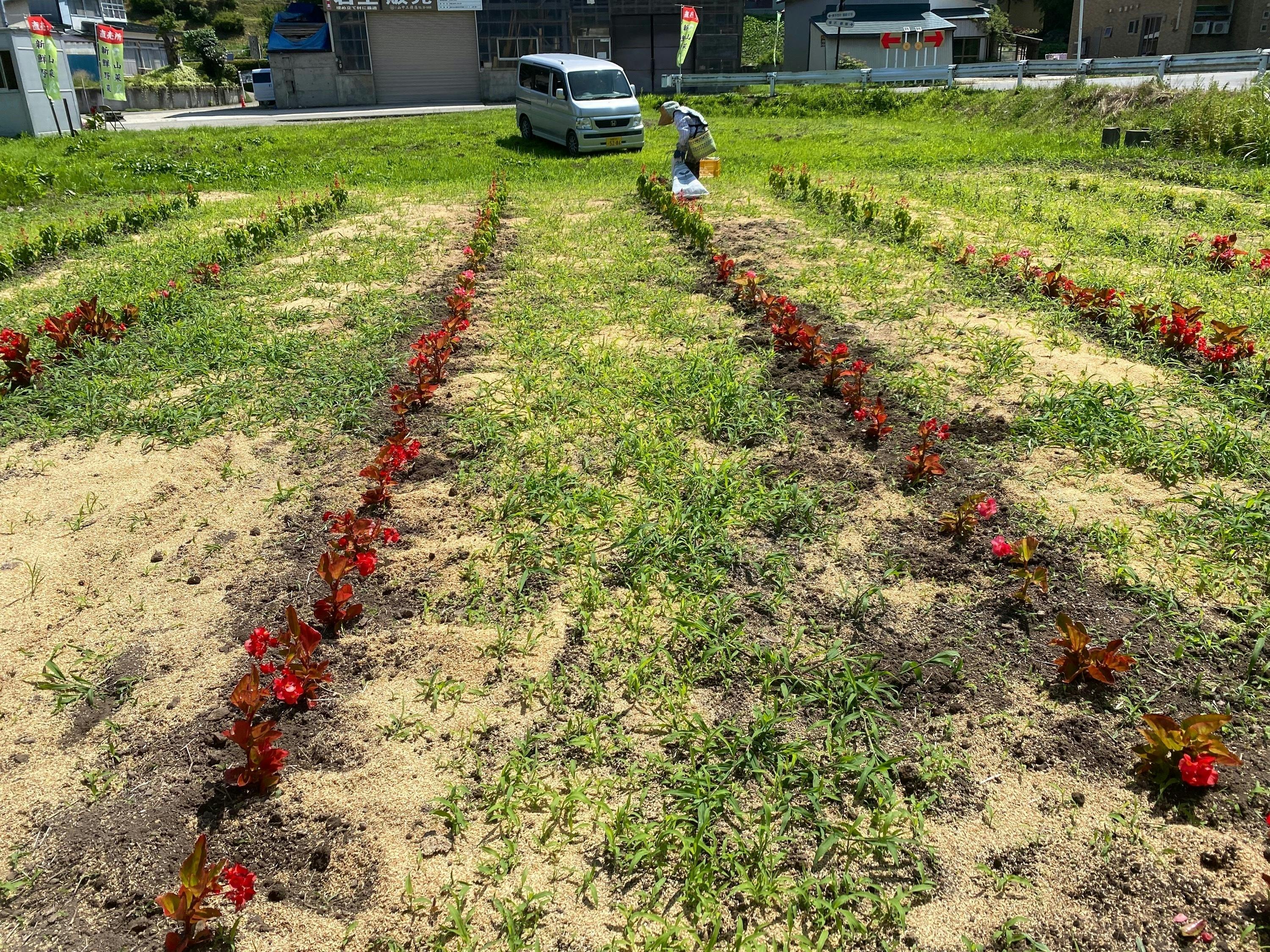 3番目のメイン画像
