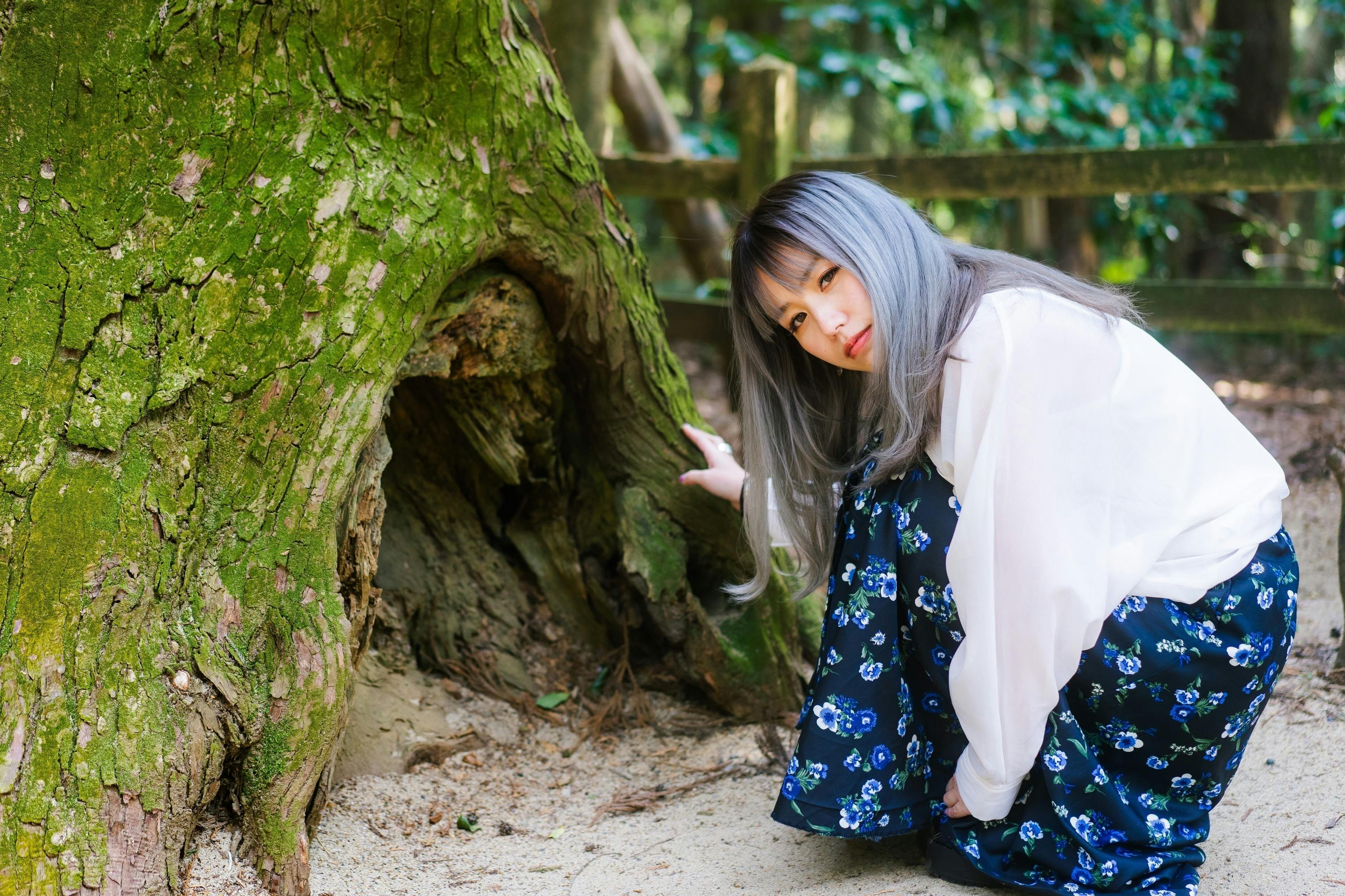 5番目のメイン画像