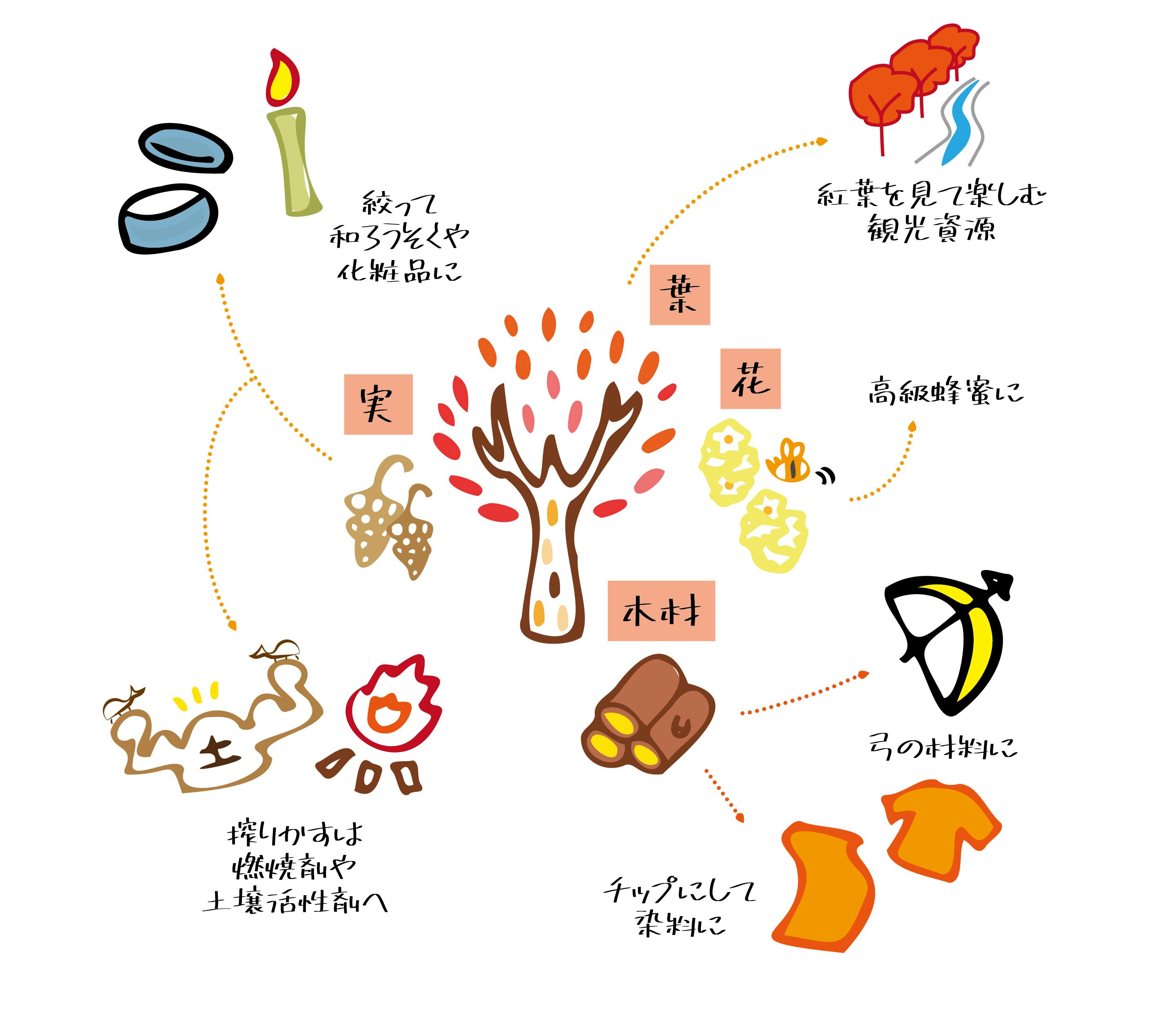 3番目のメイン画像