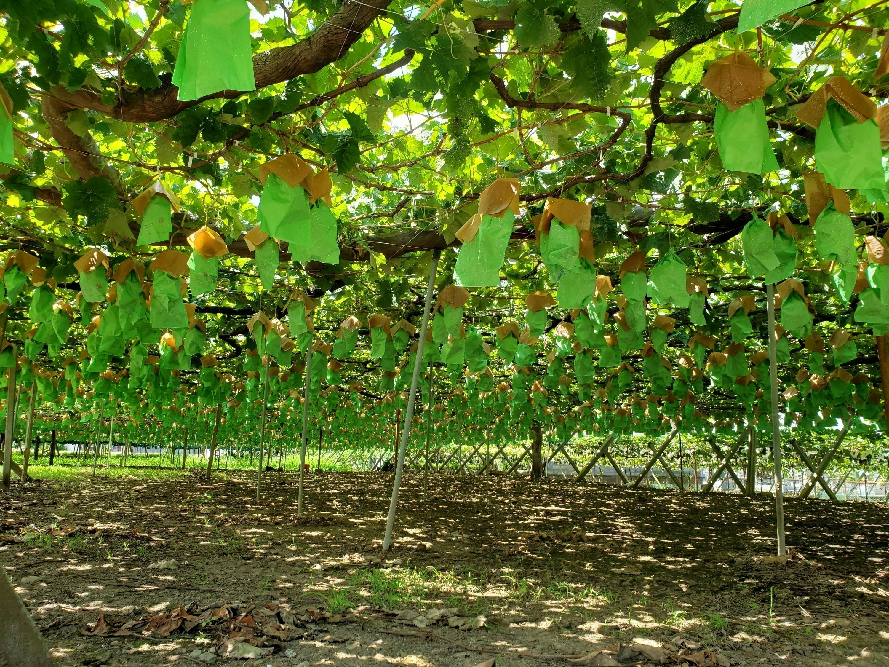 4番目のメイン画像