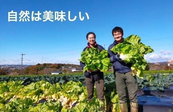 2番目のメイン画像