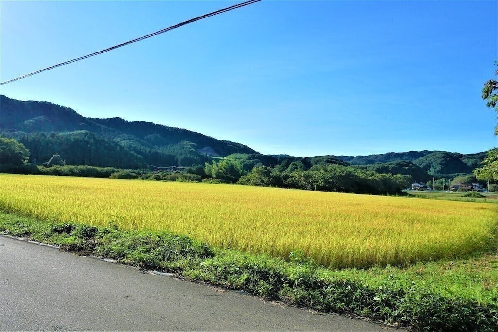 4番目のメイン画像