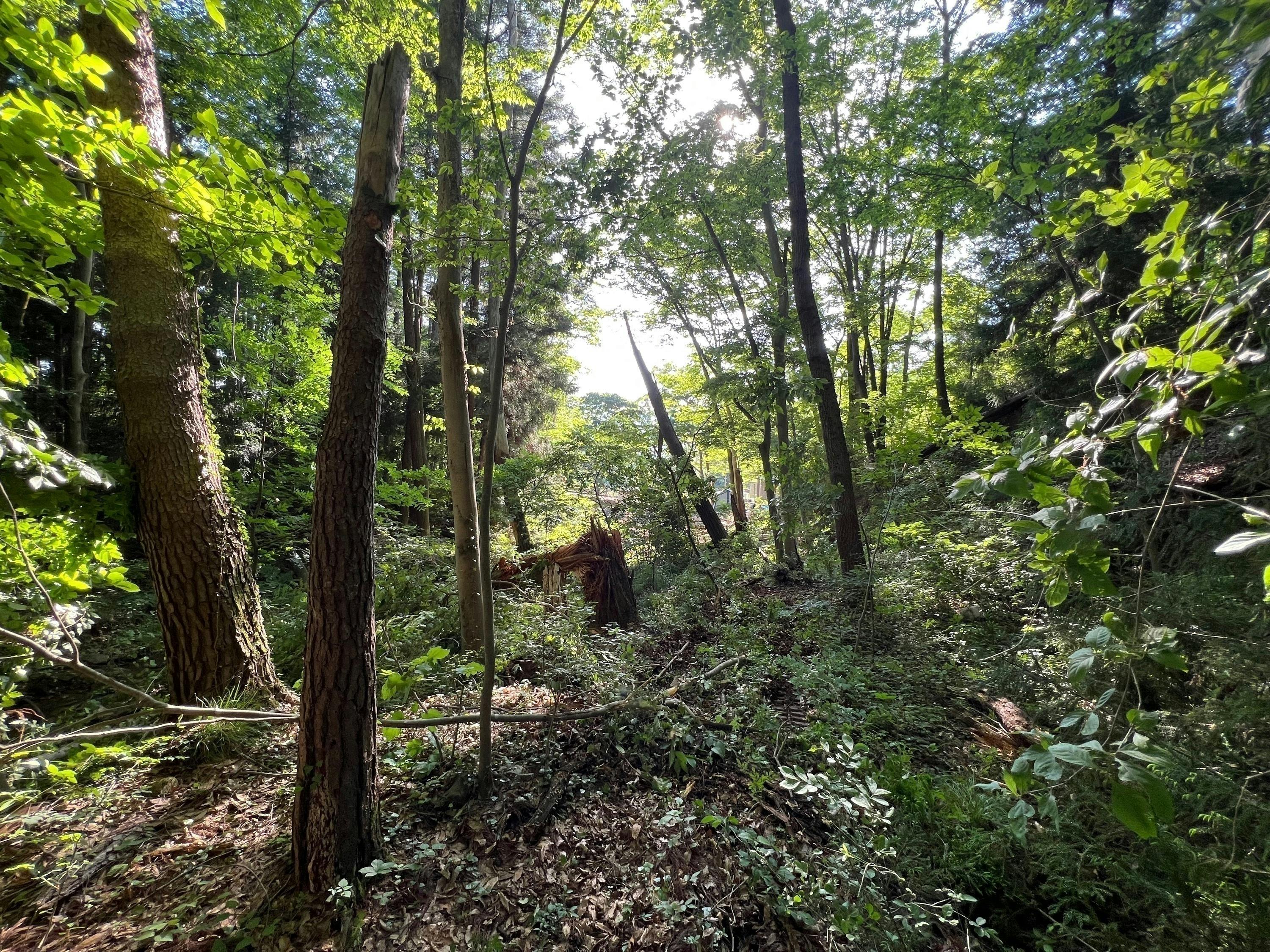 3番目のメイン画像