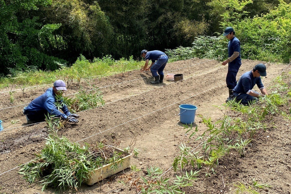 2番目のメイン画像