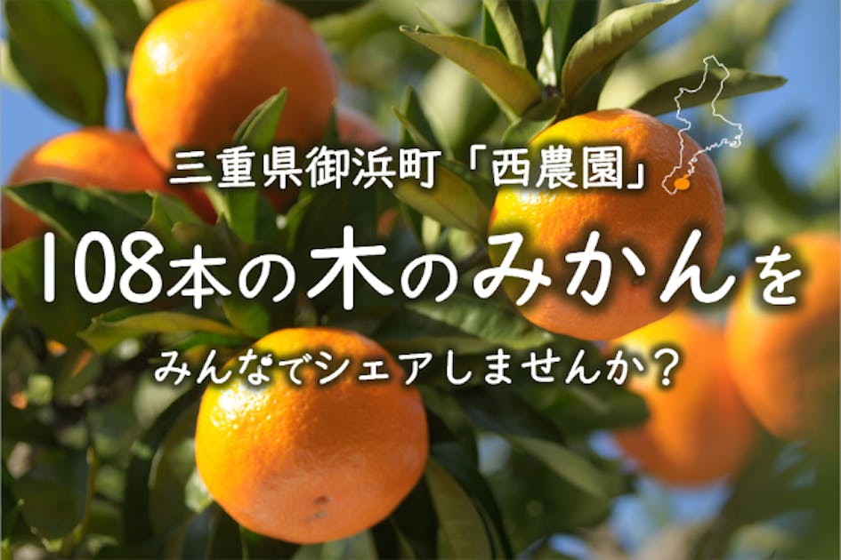 活動報告一覧 - 御浜町のみかんの木を108本購入しました！みんなで
