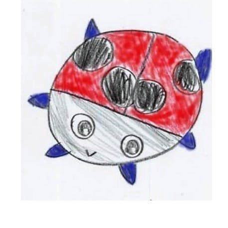 5番目のメイン画像