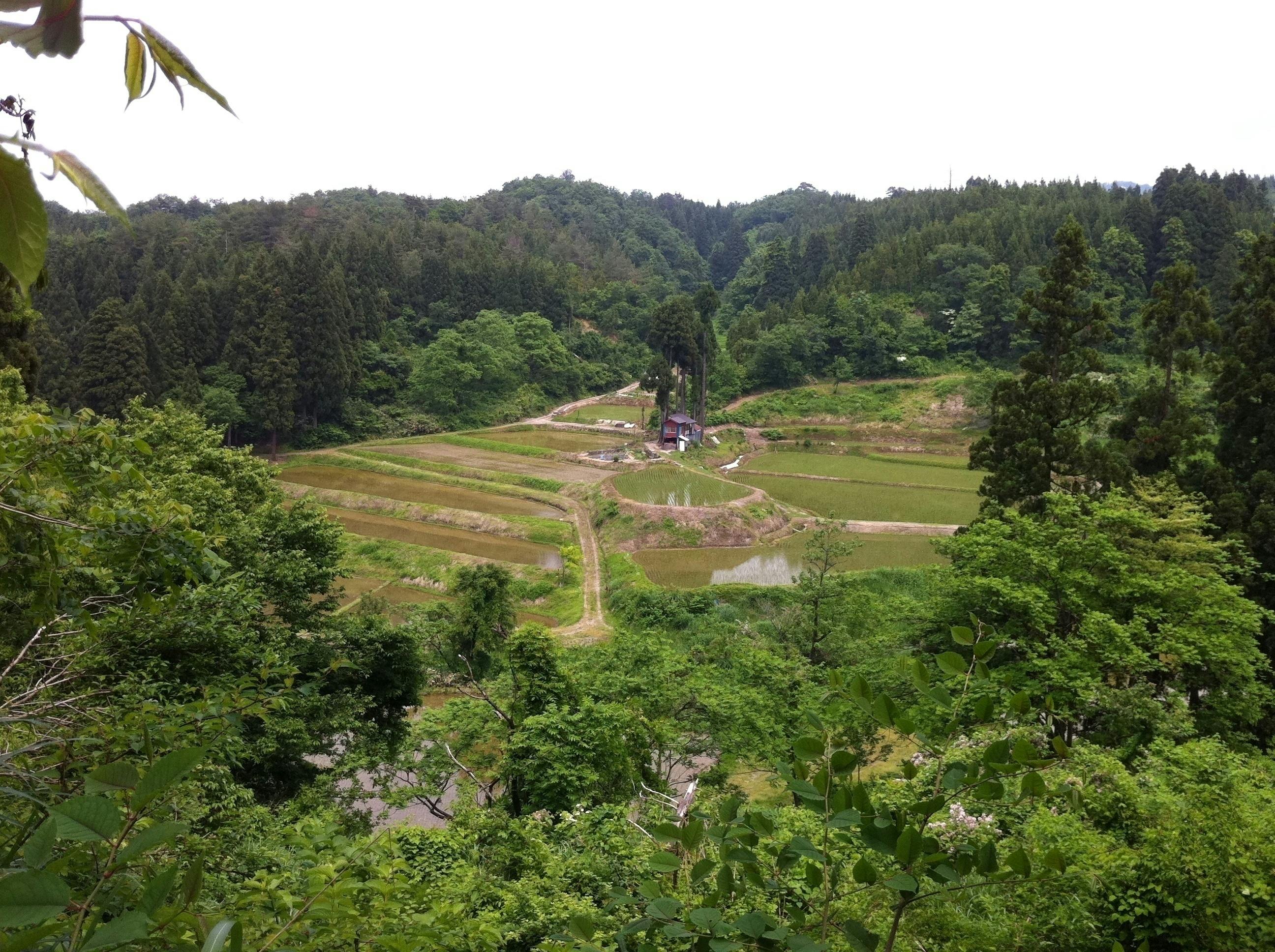 4番目のメイン画像