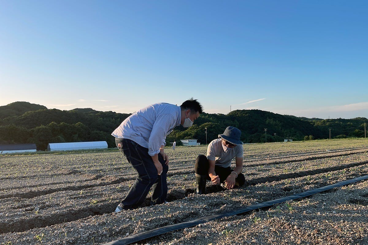 2番目のメイン画像