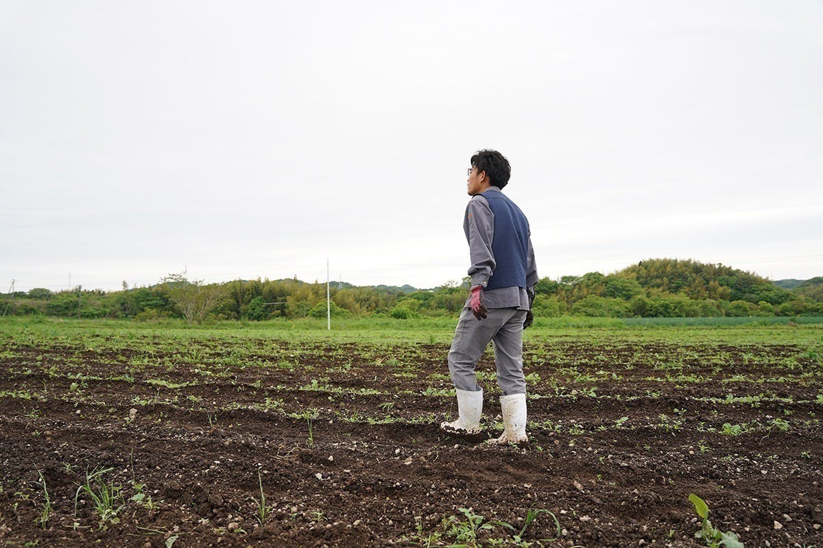 4番目のメイン画像