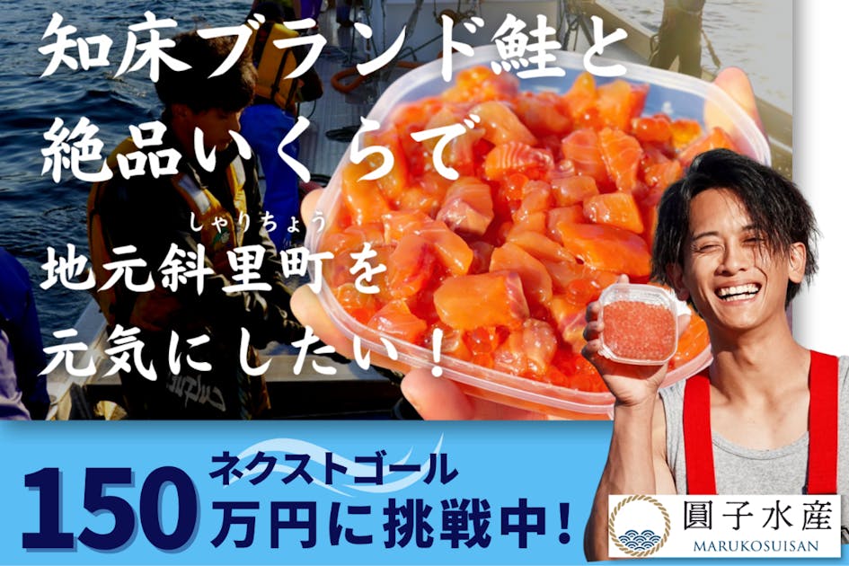 鮭の聖地メナシカード/知床ねむろ知っとこカード/いぶりの縄文カード 計11枚 鮭の聖地メナシカード/知床ねむろ知っとこカード/いぶりの縄文