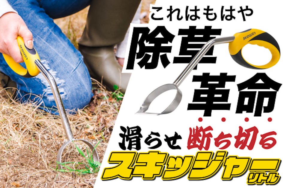 5d52e00e-9337-4767-b8fc-