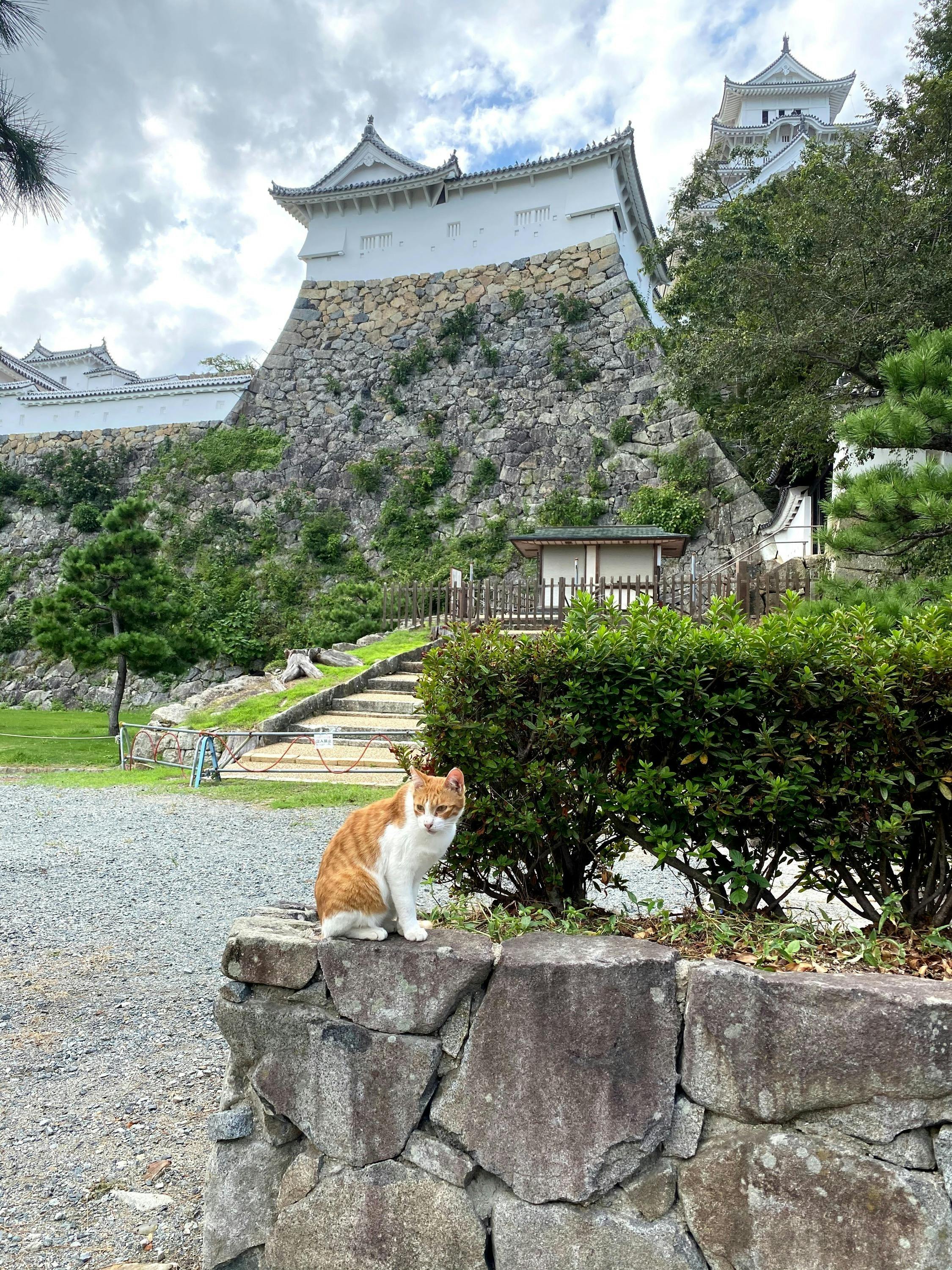 5番目のメイン画像