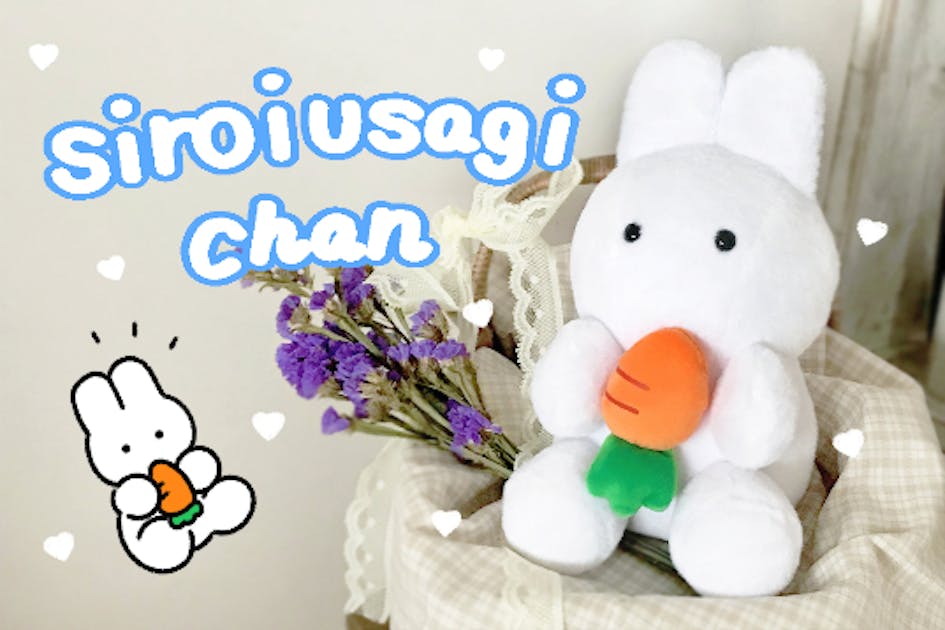 siroiusagichan ぬいぐるみ化プロジェクト - CAMPFIRE (キャンプ