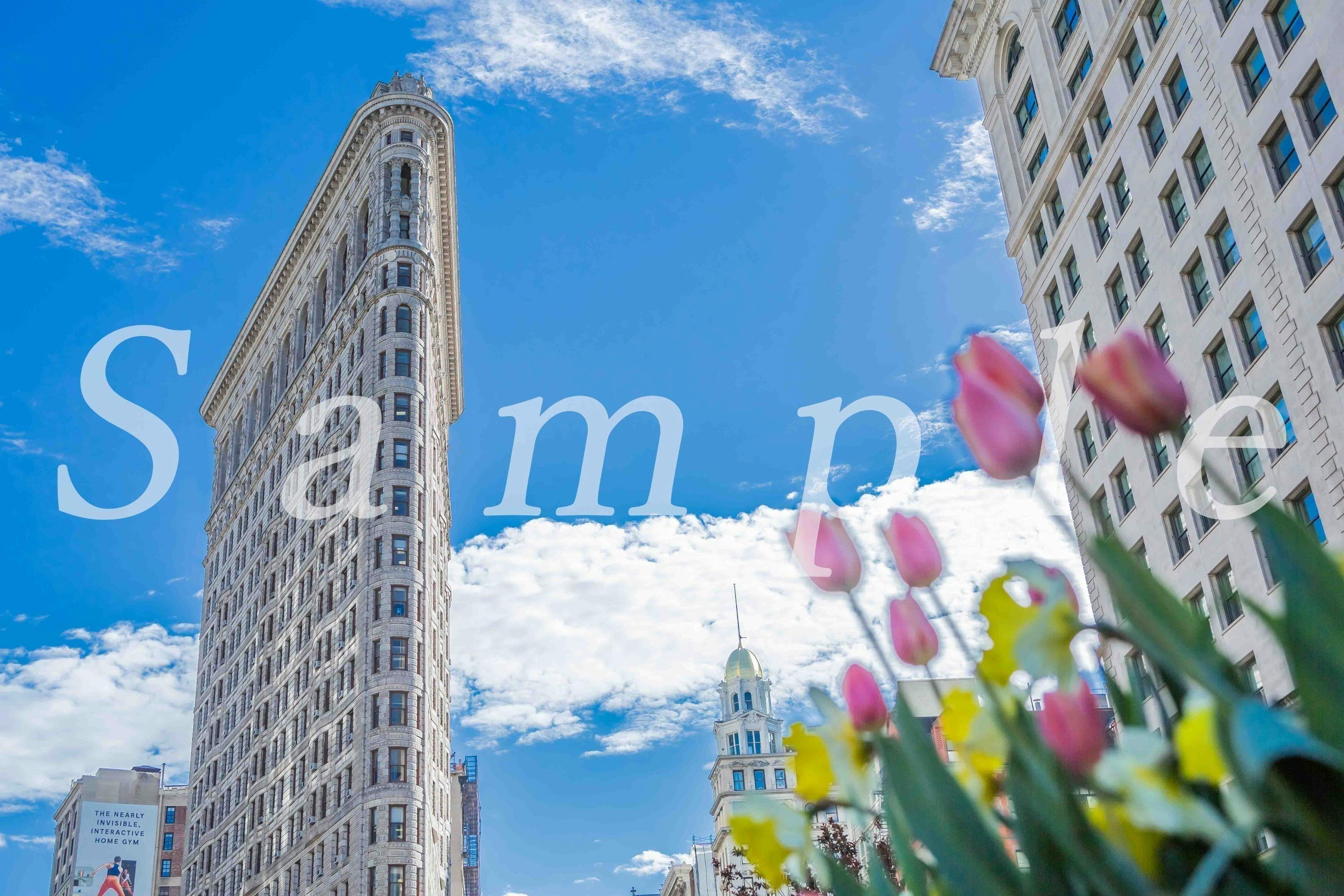 2番目のメイン画像