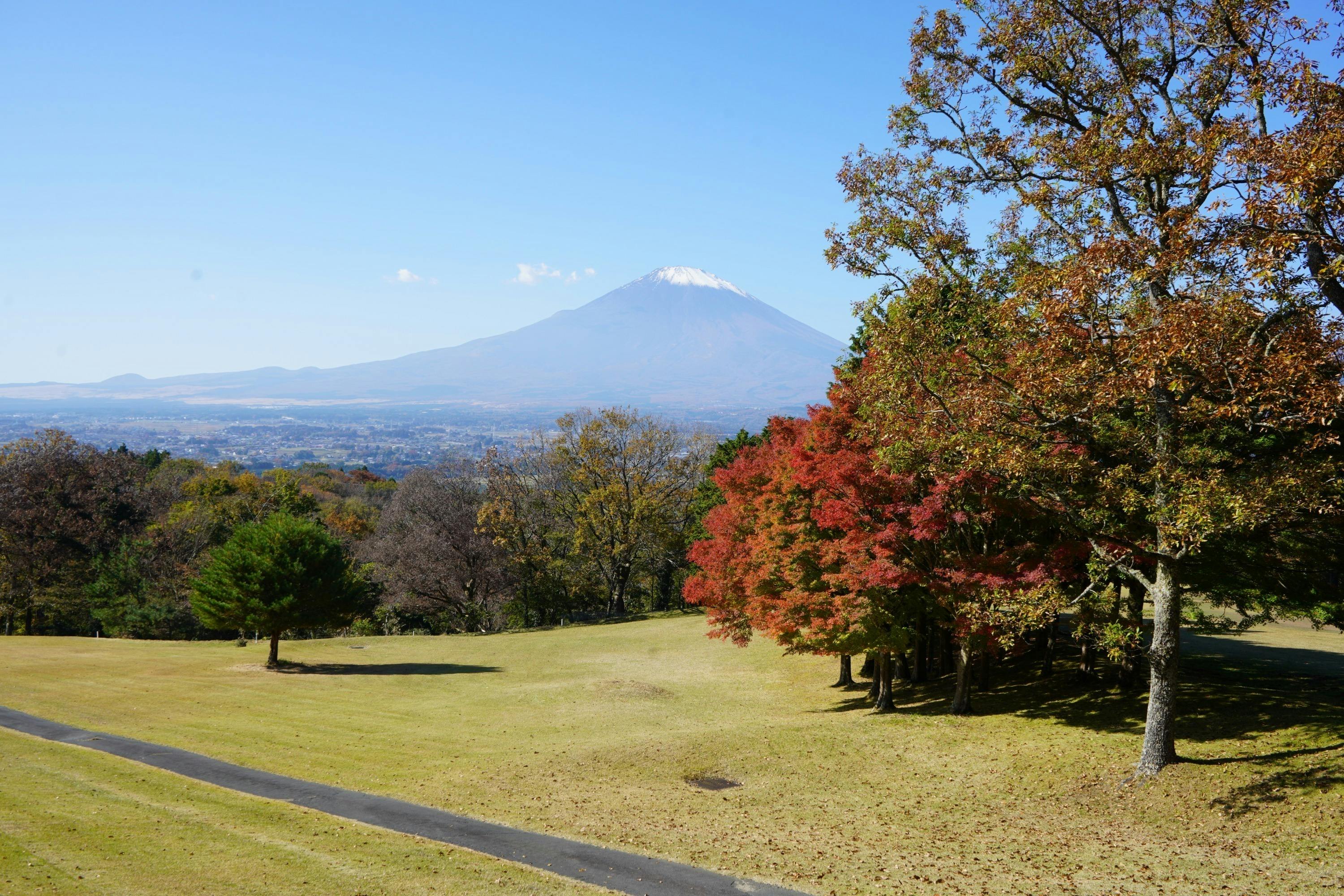 3番目のメイン画像