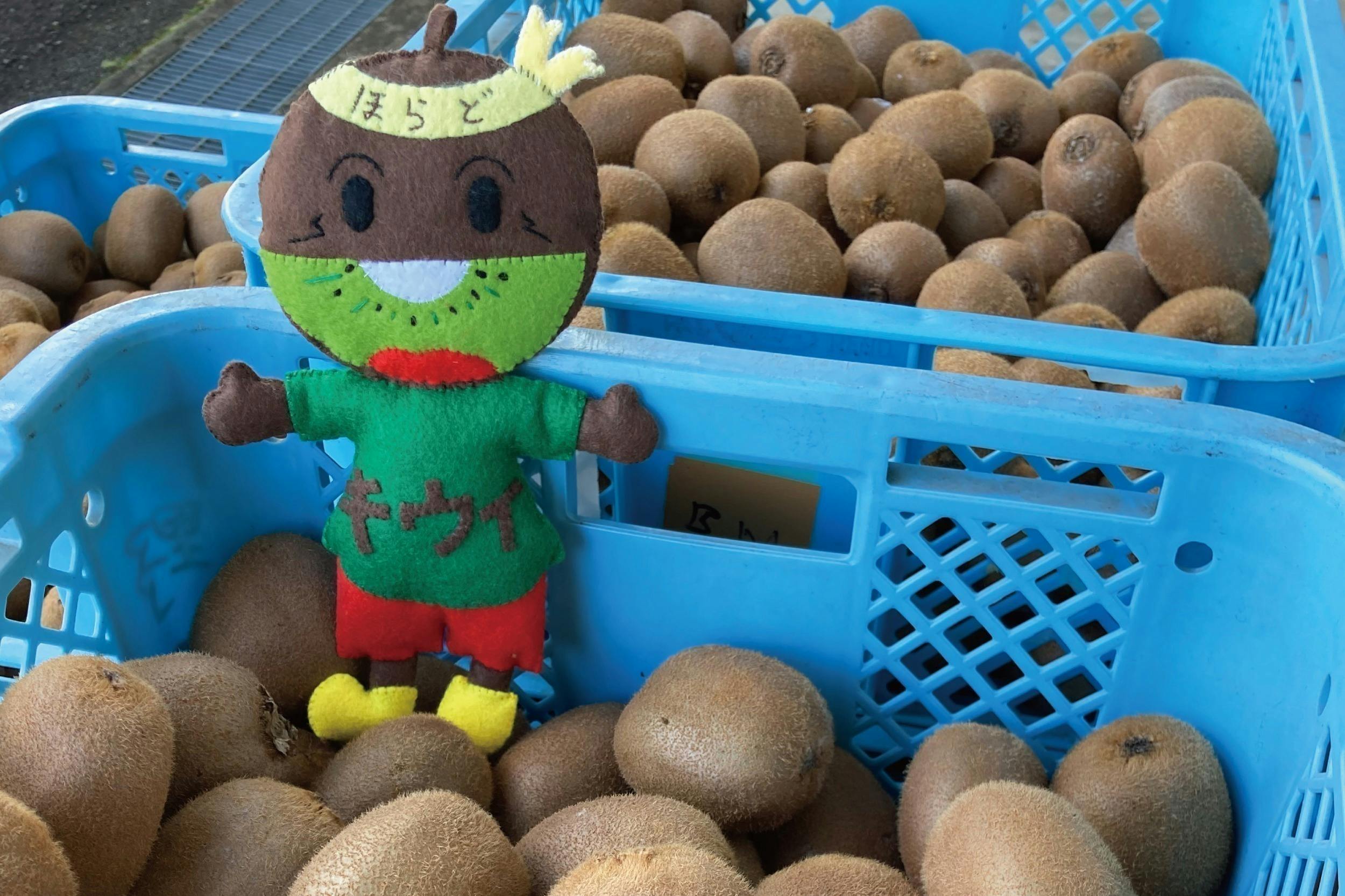 5番目のメイン画像