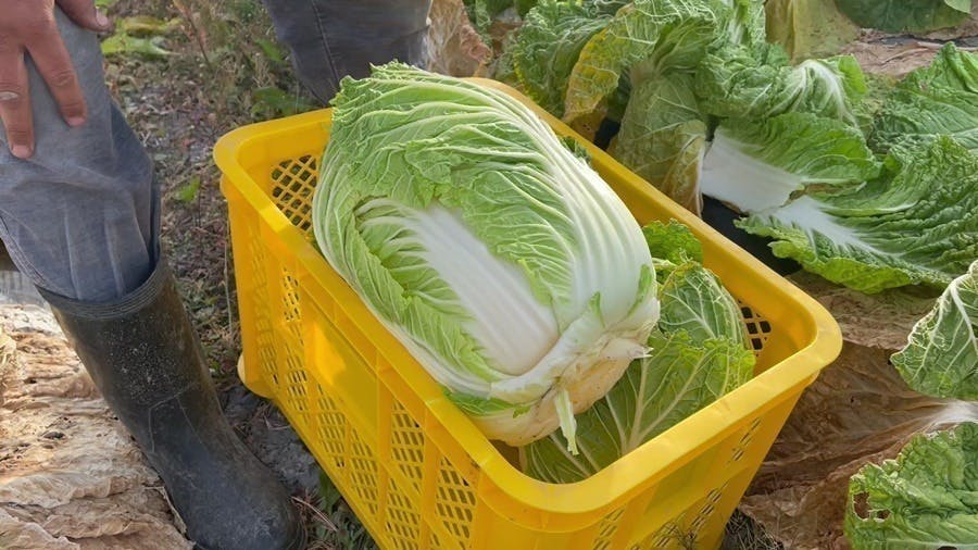 4番目のメイン画像