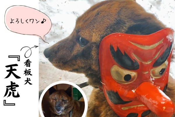 伝統工芸品の『天狗面』を未来へつなげたい!!【再挑戦します 伝統工芸品の『天狗面』を未来へつなげたい!!【再挑戦します