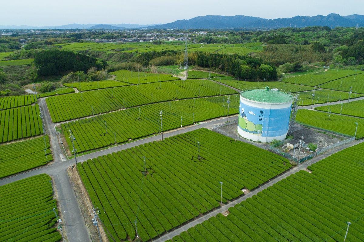 2番目のメイン画像