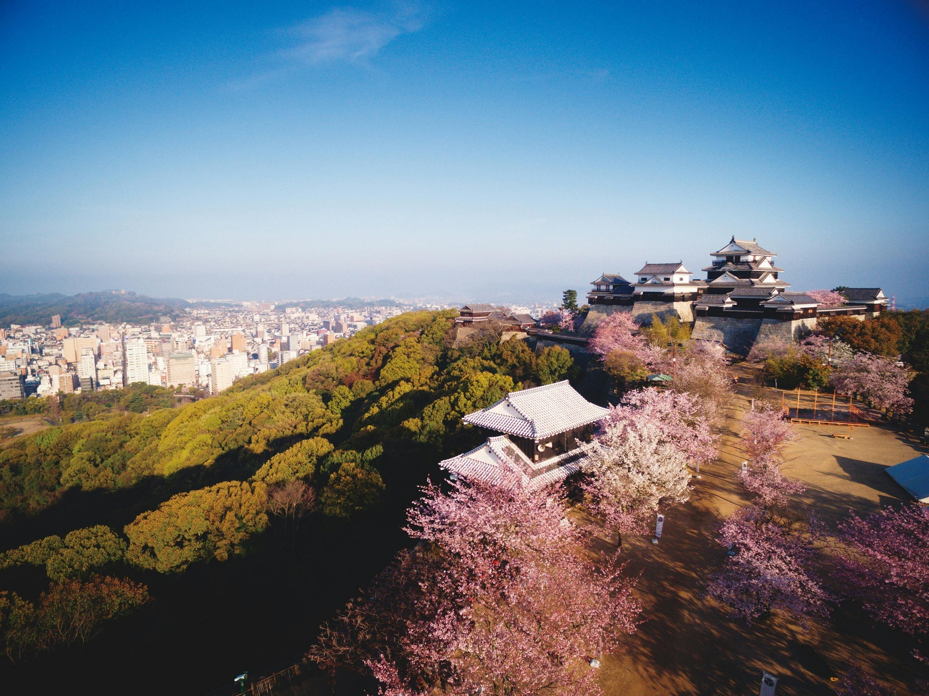 2番目のメイン画像