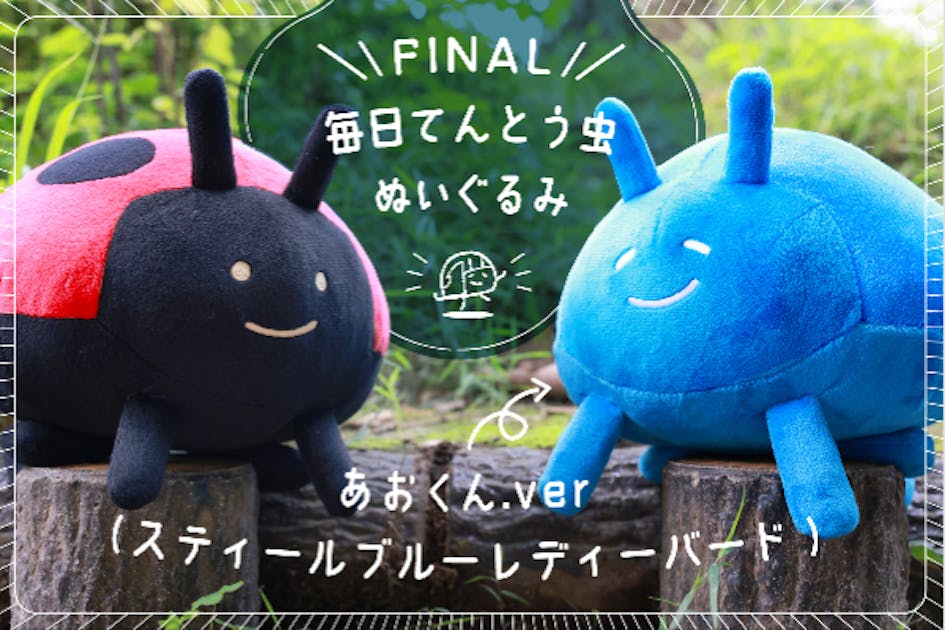 Final】毎日てんとう虫「あおくん」ぬいぐるみプロジェクト