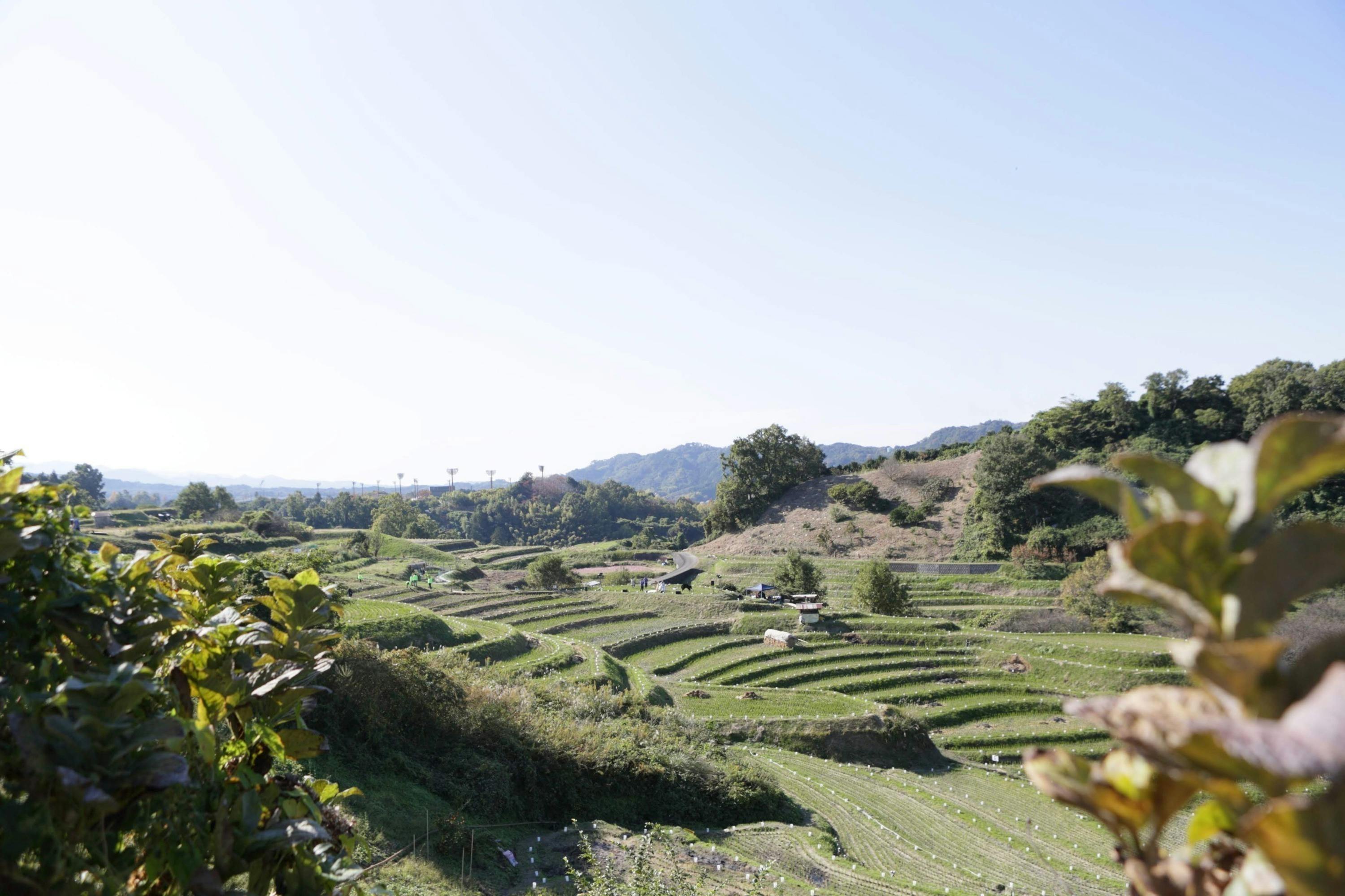 3番目のメイン画像