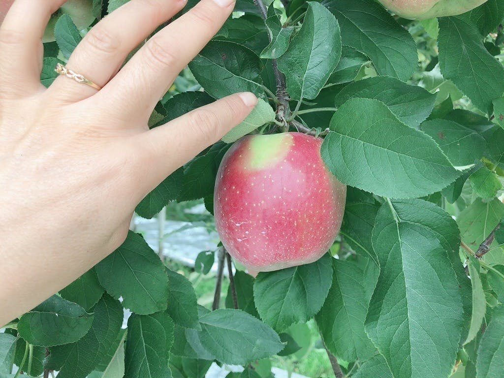 3番目のメイン画像